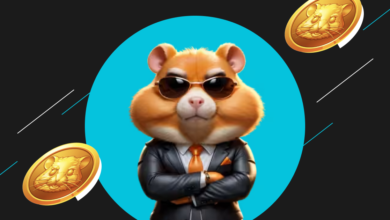 HAMSTER KOMBAT DAILY CIPHER