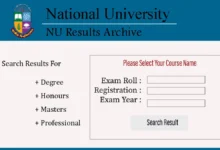 NU Honours 4th Year Result 2024